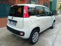 Fiat Panda Panda 0.9 t.air t. natural power Easy 70cv Bianco - thumbnail 4