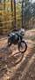 BMW F 800 GS Grau - thumbnail 2