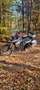 BMW F 800 GS Grau - thumbnail 10