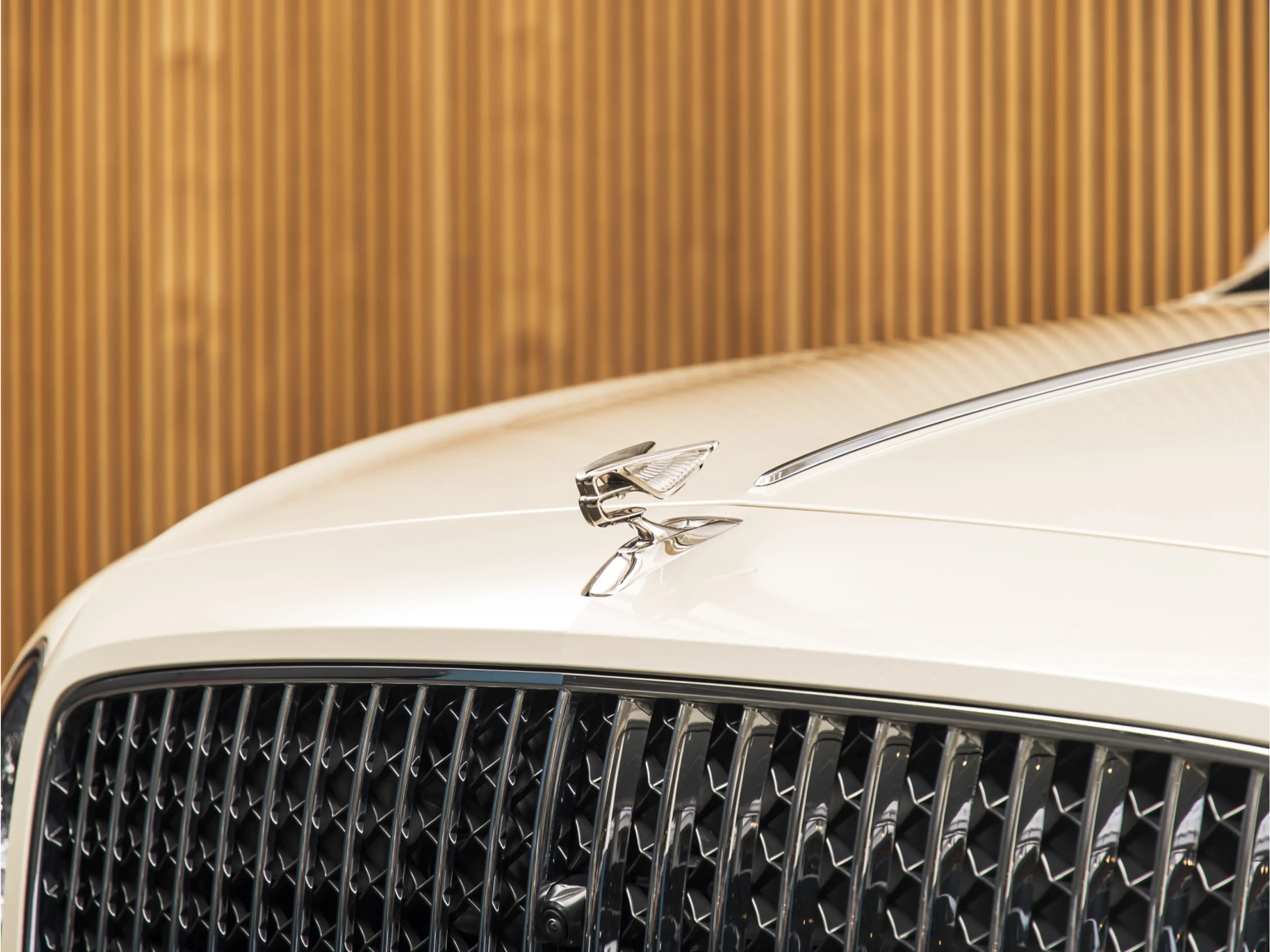Bentley Flying Spur Odyssean 2.9 V6 Hybrid B&O | MASSAGE | PANO | NACH — photo 37