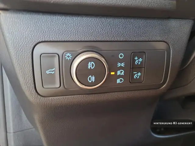 Ford Kuga view 13