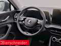 Skoda Kodiaq 2.0 TDI DSG 4x4 Selection AHK NAVI LED Schwarz - thumbnail 13