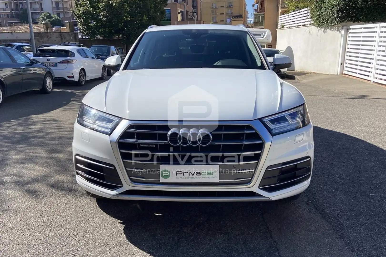 Audi Q5 Q5 2.0 TDI 190 CV quattro S tronic Business Sport Bianco - 2