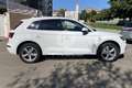 Audi Q5 Q5 2.0 TDI 190 CV quattro S tronic Business Sport Bianco - thumbnail 4