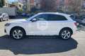 Audi Q5 Q5 2.0 TDI 190 CV quattro S tronic Business Sport Bianco - thumbnail 8