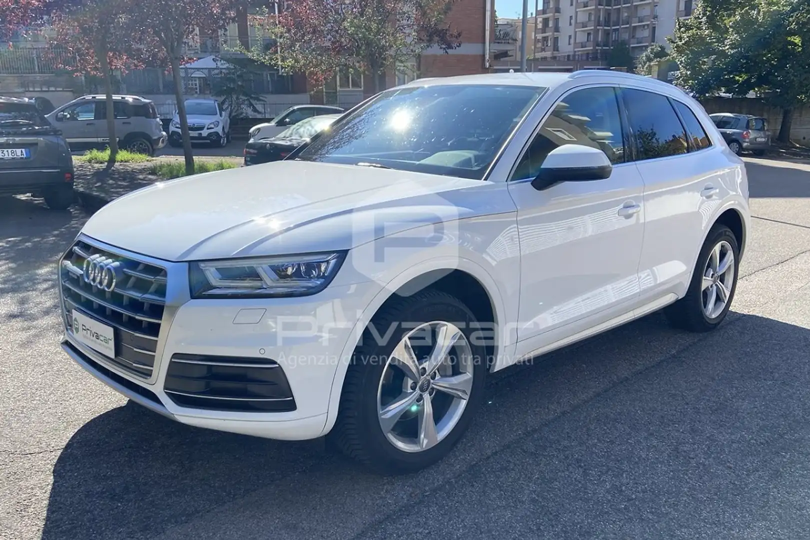 Audi Q5 Q5 2.0 TDI 190 CV quattro S tronic Business Sport Bianco - 1