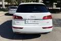 Audi Q5 Q5 2.0 TDI 190 CV quattro S tronic Business Sport Bianco - thumbnail 6