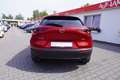 Mazda CX-30 2.0 2WD LED 360° Totwinkel Bose ACC Rot - thumbnail 4