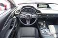 Mazda CX-30 2.0 2WD LED 360° Totwinkel Bose ACC Rot - thumbnail 10