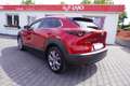 Mazda CX-30 2.0 2WD LED 360° Totwinkel Bose ACC Rot - thumbnail 3