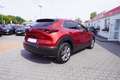 Mazda CX-30 2.0 2WD LED 360° Totwinkel Bose ACC Rot - thumbnail 5
