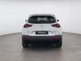 Mazda MX-30 Basis e *360°K*NAVI*SHZ*uvm Gris - thumbnail 4