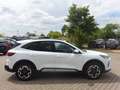 Ford Kuga 180PS Autm. FHEV Active Navi LMF Weiß - thumbnail 7