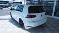 Volkswagen Golf VII 1.6 TDI BMT Rabbit Weiß - thumbnail 4