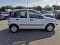 Fiat Panda Panda 1.2 Dynamic Weiß - thumbnail 5