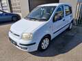 Fiat Panda Panda 1.2 Dynamic Weiß - thumbnail 2