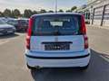 Fiat Panda Panda 1.2 Dynamic Weiß - thumbnail 6