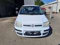 Fiat Panda Panda 1.2 Dynamic Weiß - thumbnail 1