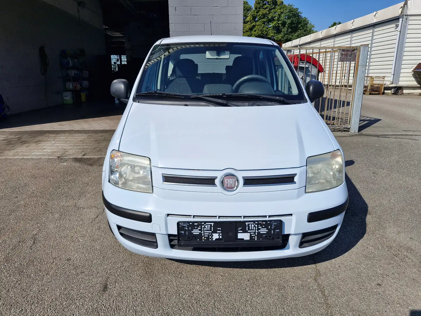 Fiat Panda Panda 1.2 Dynamic Weiß - 1