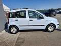 Fiat Panda Panda 1.2 Dynamic Weiß - thumbnail 4