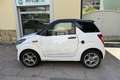 Ligier JS 50 JS50 DCI Young Color Bianco - thumbnail 8