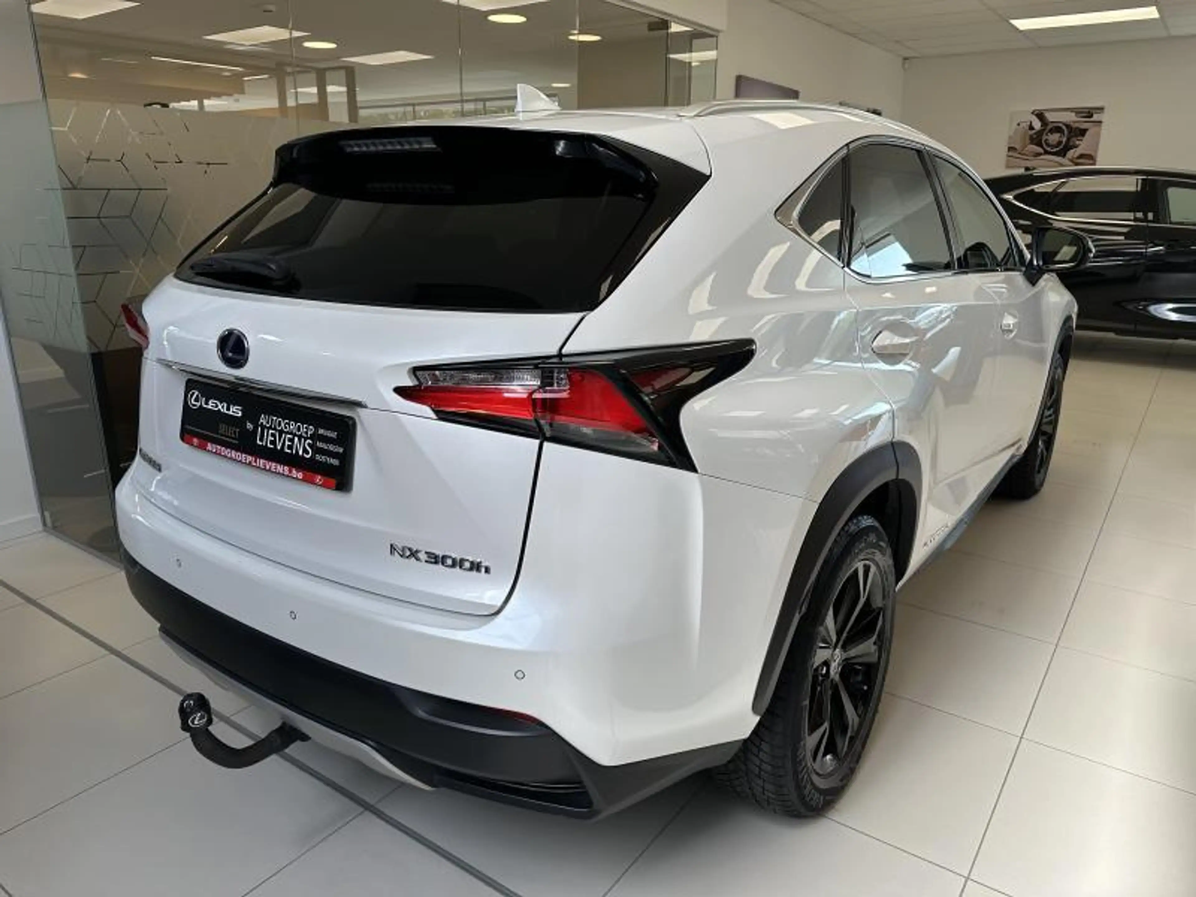 Lexus NX 300h 2.5 HYB EXECUTIVE — photo 4