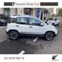 Fiat Panda Panda 1.0  hybrid Cross  5 POSTI BLOCK SHAFT Bianco - thumbnail 11