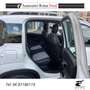 Fiat Panda Panda 1.0  hybrid Cross  5 POSTI BLOCK SHAFT Bianco - thumbnail 14