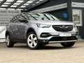 Opel Grandland X Innovation 1.5 D, AHK, Pano, AFL, Tot-W, Navi, LED Silber - thumbnail 6