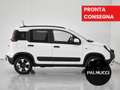 Fiat Panda Panda 1.0 firefly hybrid Cross s Bianco - thumbnail 3
