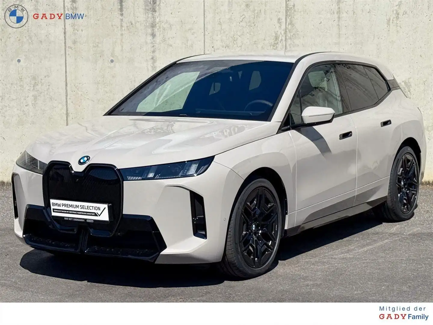 BMW iX xDrive45 Grau - 1