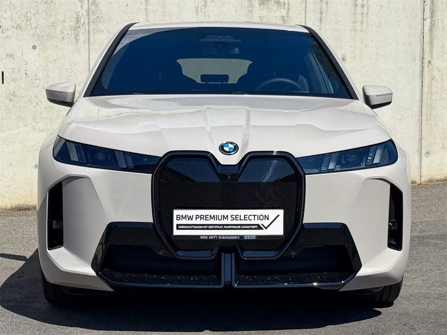 BMW iX xDrive45 Grau - 2