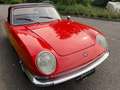 Fiat 850 Spider Prima Serie " Fari Miura " Rosso - thumbnail 3