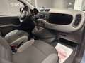 Fiat Panda Panda 1.0 firefly hybrid City Life s Nero - thumbnail 13