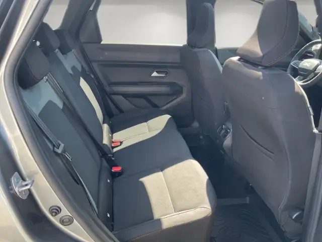 Dacia Bigster view 13