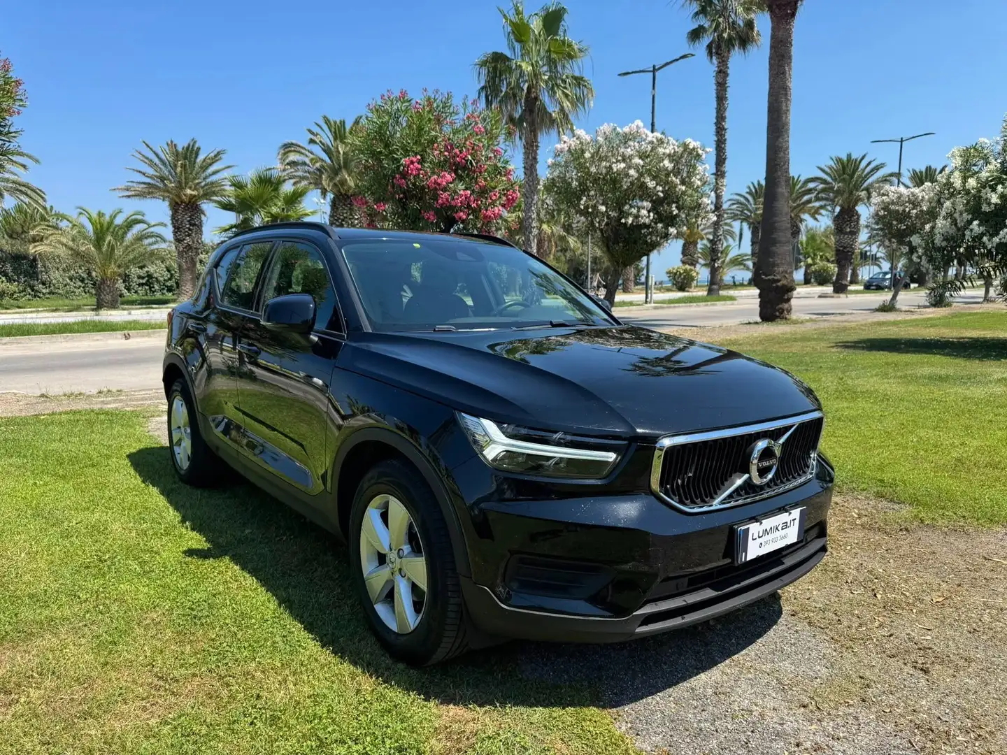 Volvo XC40 XC40 1.5 t2 Momentum auto my21 - 2