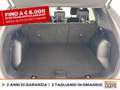 Ford Kuga 2.5 phev st-line 2wd 225cv cvt Gris - thumbnail 12