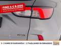 Ford Kuga 2.5 phev st-line 2wd 225cv cvt Gris - thumbnail 16