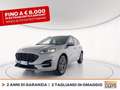 Ford Kuga 2.5 phev st-line 2wd 225cv cvt Gris - thumbnail 1