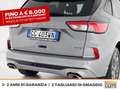 Ford Kuga 2.5 phev st-line 2wd 225cv cvt Gris - thumbnail 17