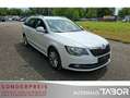 Skoda Superb Combi 2.0 TDI Ambition Navi PDC SHZ GRA Weiß - thumbnail 2
