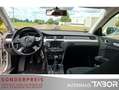 Skoda Superb Combi 2.0 TDI Ambition Navi PDC SHZ GRA Weiß - thumbnail 5