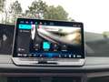 Volkswagen Tiguan Friends eTSI DSG Grün - thumbnail 14