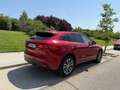 Jaguar F-Pace 2.0i4D R-Sport Aut. AWD 240 Rojo - thumbnail 6