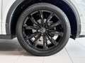 Volkswagen T-Roc Cabriolet 1.5 TSI DSG R-Line ACC,Kamera Weiß - thumbnail 4