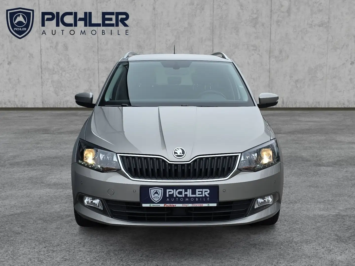 Skoda Fabia Style TSI Braun - 2