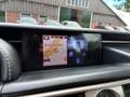 Lexus IS 300 300h Business Hybride | Xenon + Leder + Navi nu €1 Grau - thumbnail 25