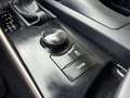 Lexus IS 300 300h Business Hybride | Xenon + Leder + Navi nu €1 Grau - thumbnail 21