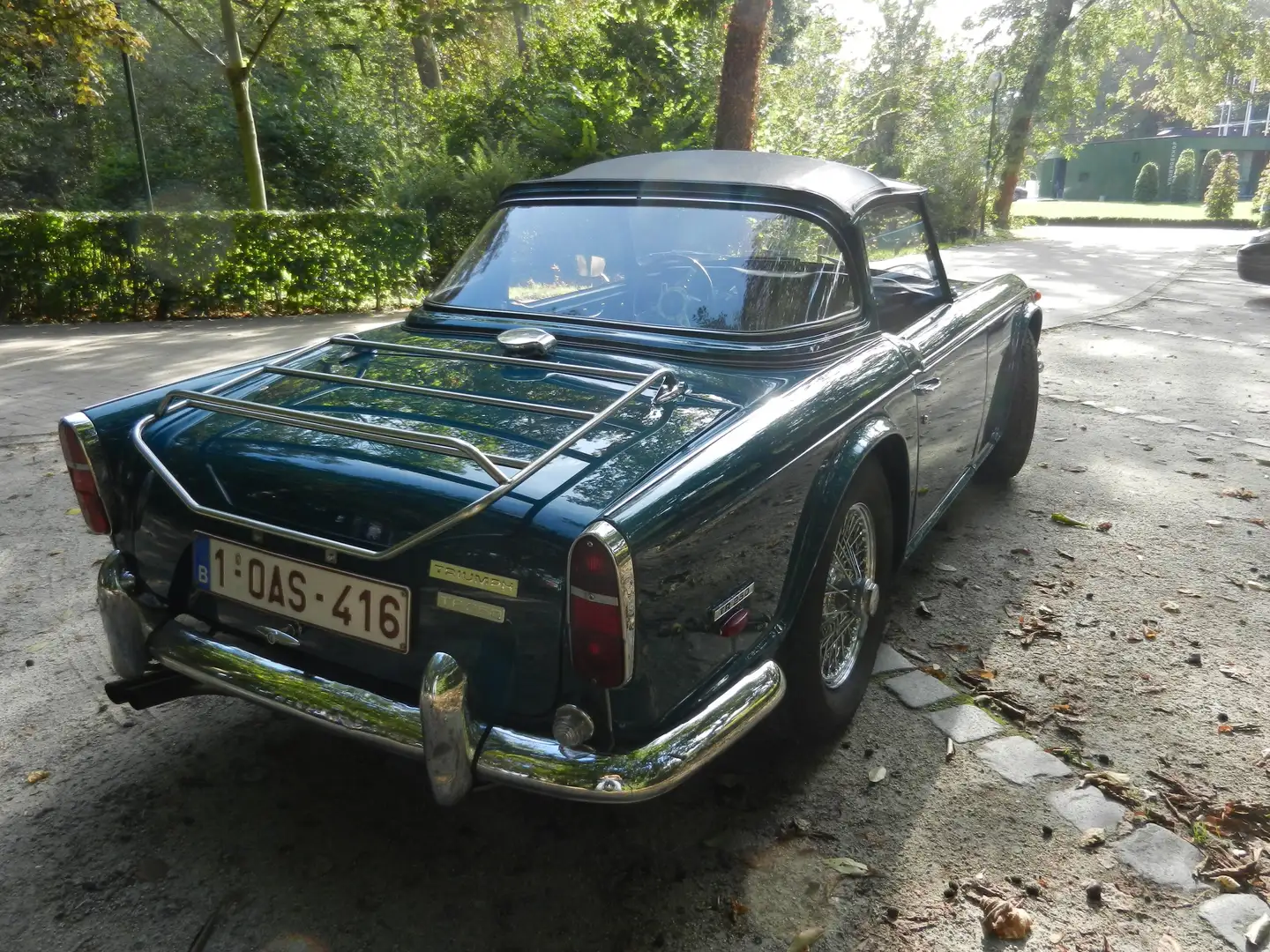 Triumph TR5 TR 250 Blau - 2
