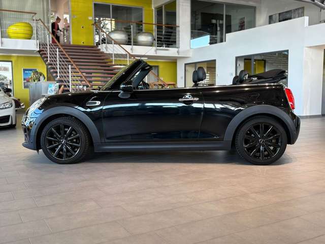 MINI Cooper Cabrio *Chili*LED*SHZ*PDC*Navi*Ambiente